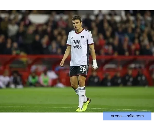 拜仁慕尼黑斥资五千万欧元成功签下若昂帕利尼亚补救此前压哨失败转会