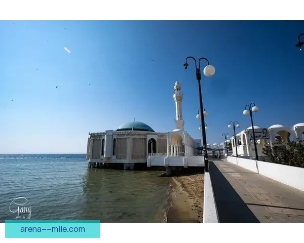 贝加拒绝那不勒斯邀请 转投沙特吉达国民开启新篇章